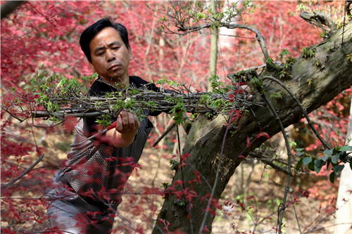 ͯ����: һ�����������͵ĳ���