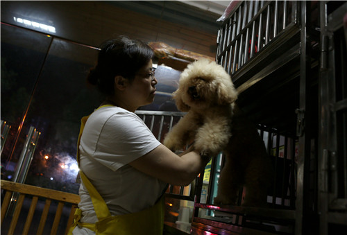 �����٣��Ҹ������������ݡ�