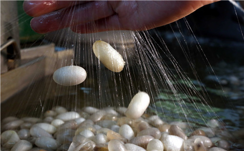 �ػ����һ��˿��--�߽���ɣ��ҵ�ġ��ʯ����˿����