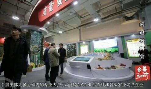 �й�ũ����