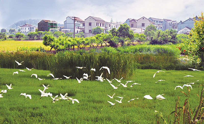 ����ɽ�� �д�«ɽ