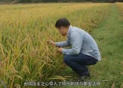 ��Ȼũ�������