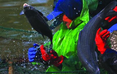 ˮ���������ʱ