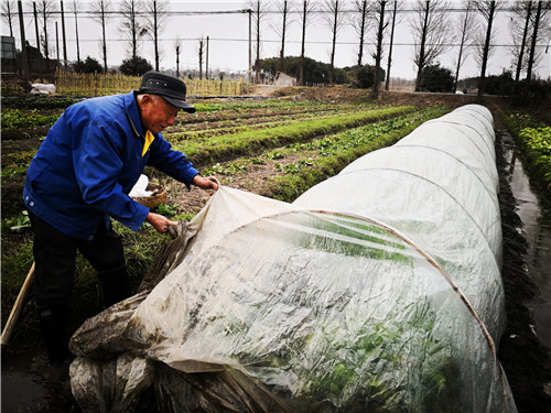 ���ͷ��߻��������