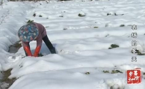 ũ���Ķ���