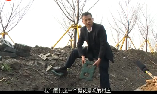 ������ĺ����