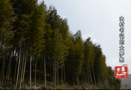 ɽ����ǵĴ�����