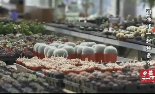 �����һ���ֶ���