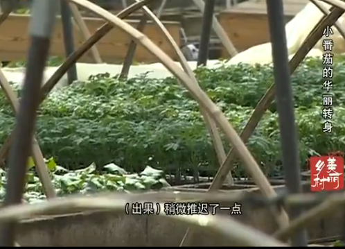 С���ѵĻ���ת��