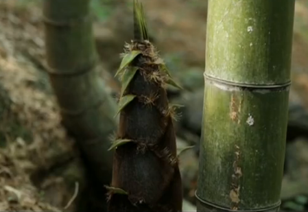 ���羭�û�����