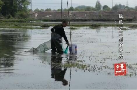 ��ɫũ�����Ϻũ