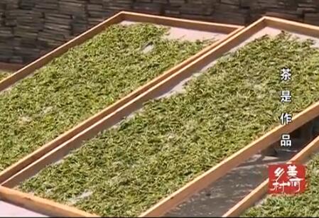 ������Ʒ