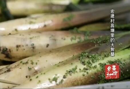 �꽨��������Ĵ��ǻ�