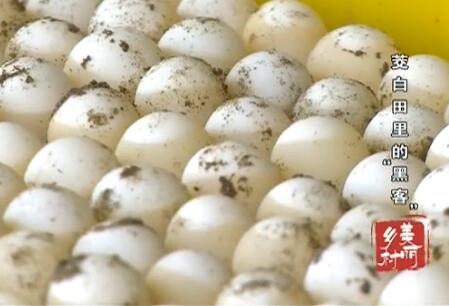 ��������ġ��ڿ͡�