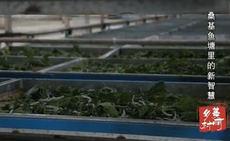 ɣ������������ǻ�