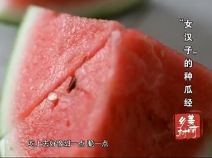 ��Ů���ӡ����ֹϾ�