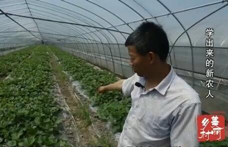 ѧ��������ũ��