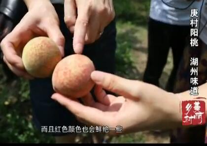 �������� ����ζ��