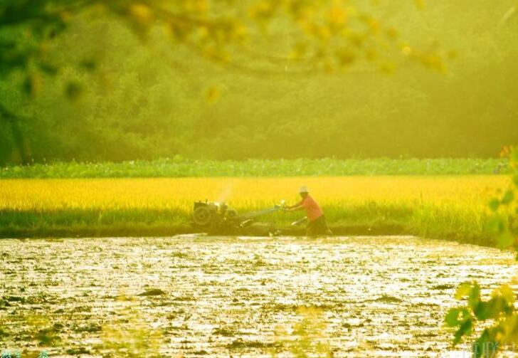 ��ζ��˫����