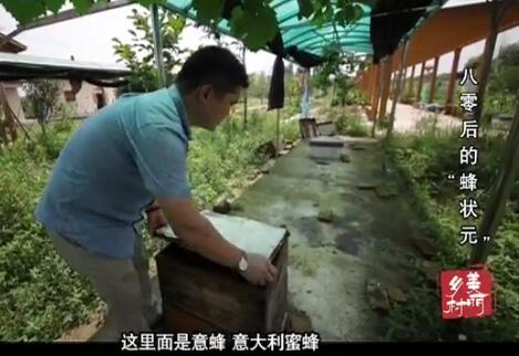 �����ġ���״Ԫ��