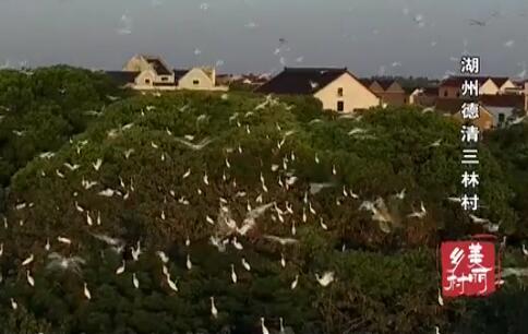 ���ݵ������ִ�