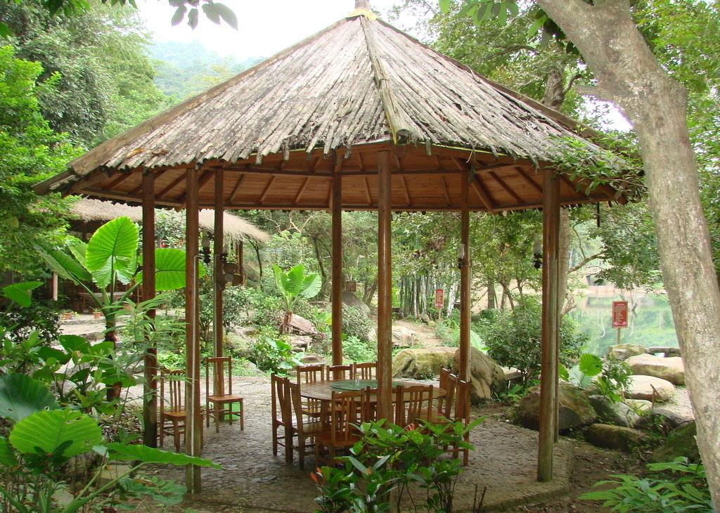 ��ͤ������