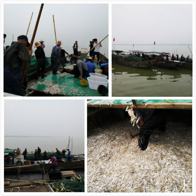 ��̫�����ס�������