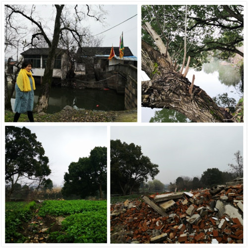 �������˰�����͵ġ���ˮ�顱