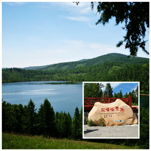 ��أ����޷�����շ�