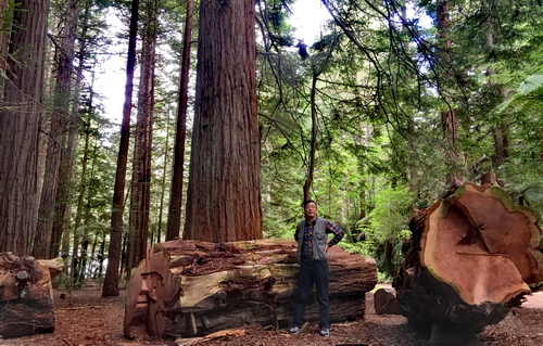 ����̫�������ϰ���