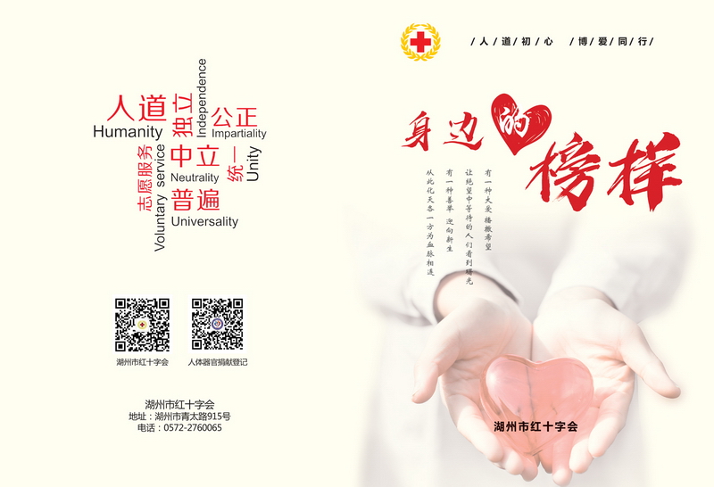 �ٶ������е����衱