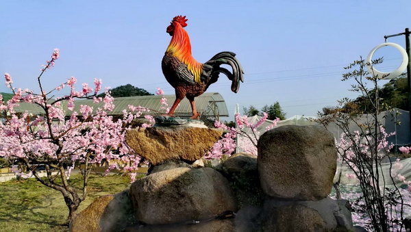 �ӡ���ñ��ѧ�������޵���