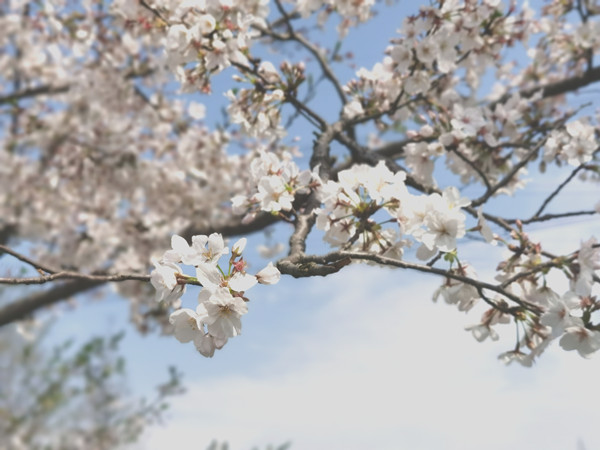 �ͻ����ܼ�н����������ð�